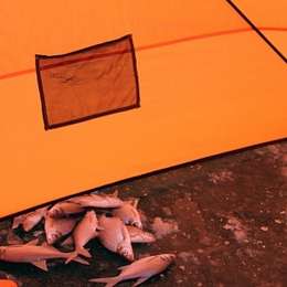 Палатка-куб зимняя WOODLAND Ice Fish 4 new